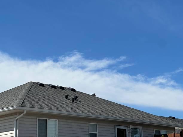 Best Gutter Installation and Repair  in Horse Shoe, NC